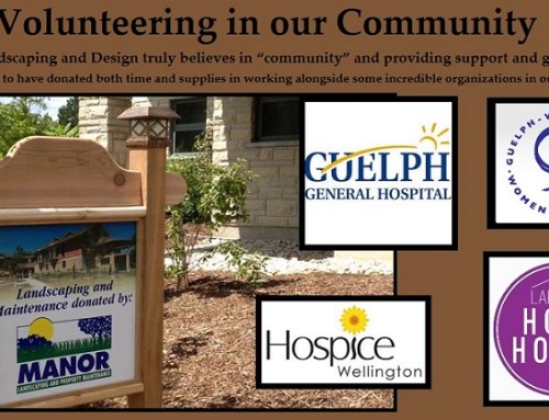 Community Volunteer Work 2015