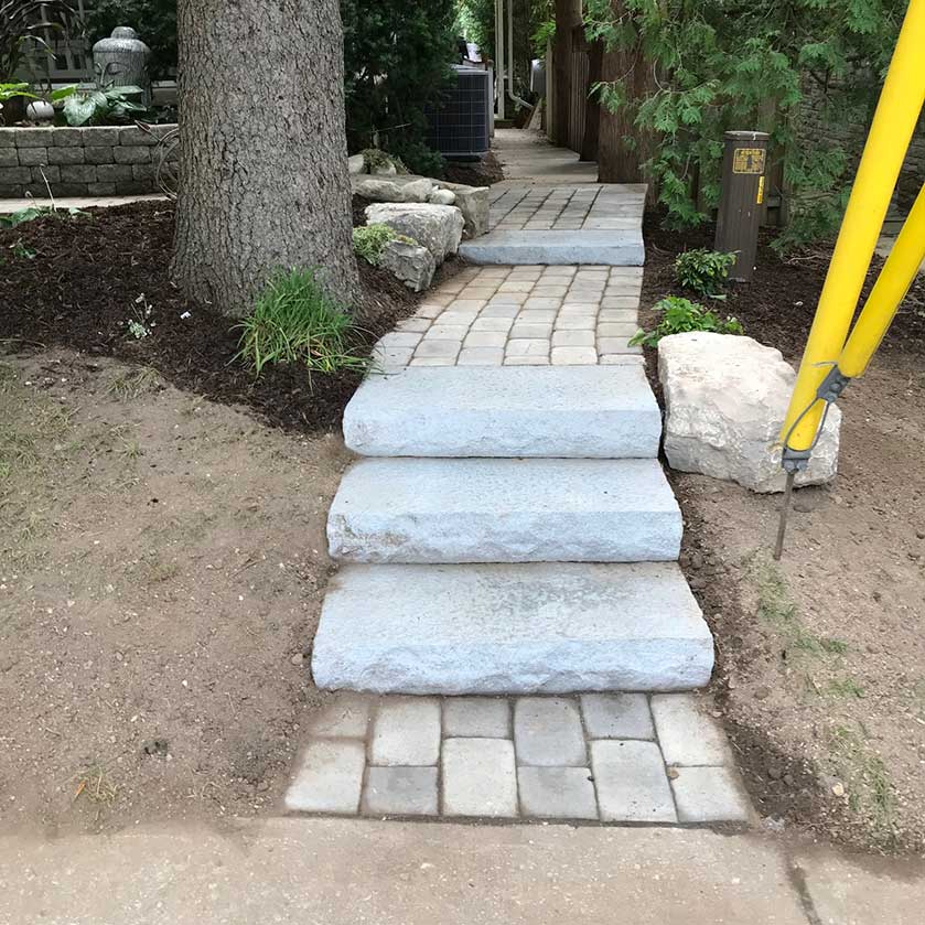 sidewalk to basement landscape renovation