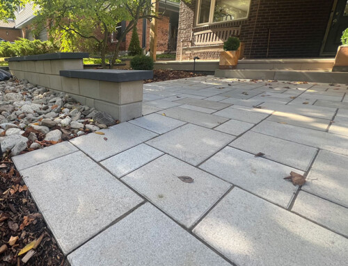 Modern Entrance with Wall Accent